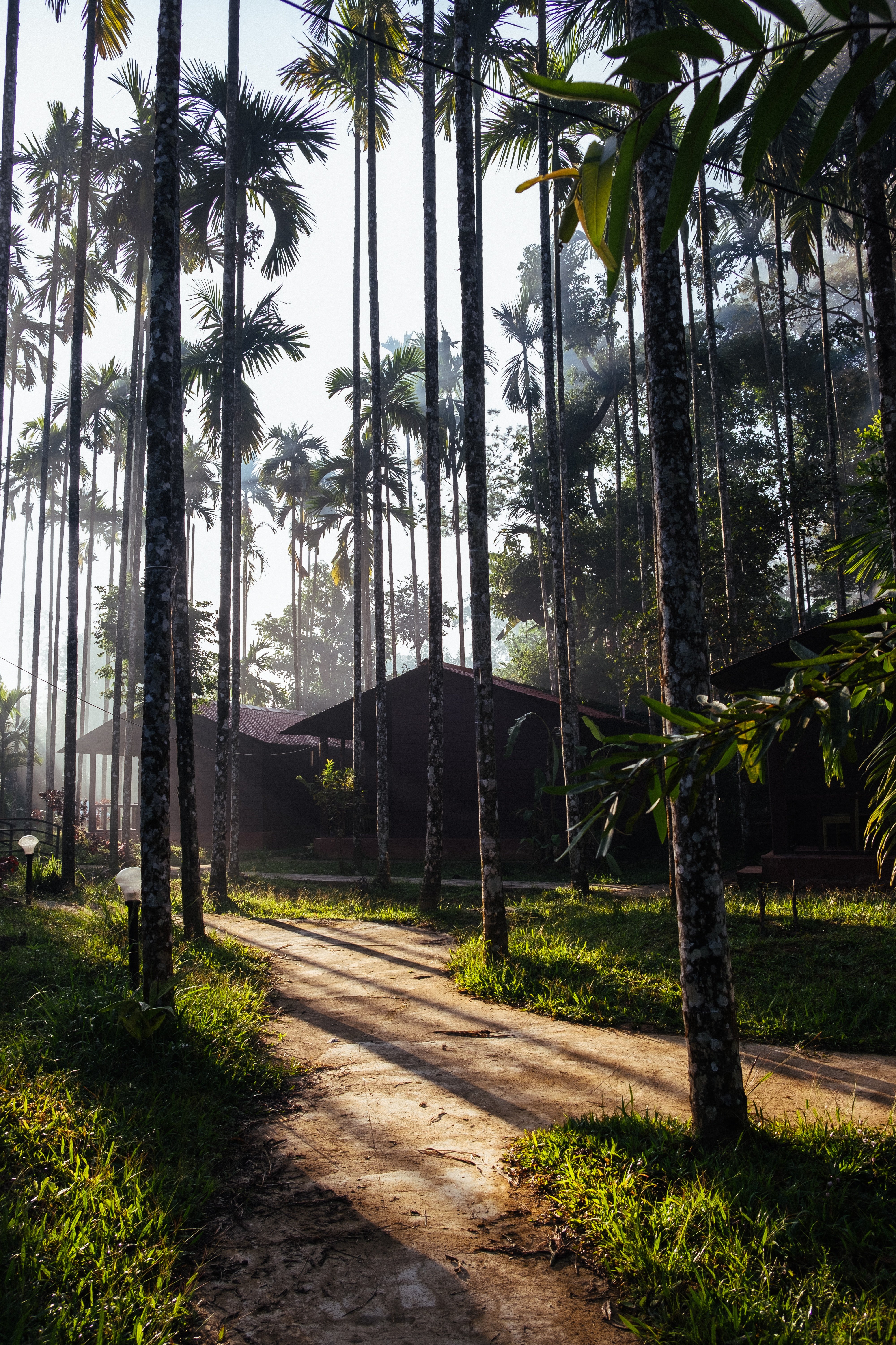 Fabulous Coorg with Mysore | 3 Nights/4 Days