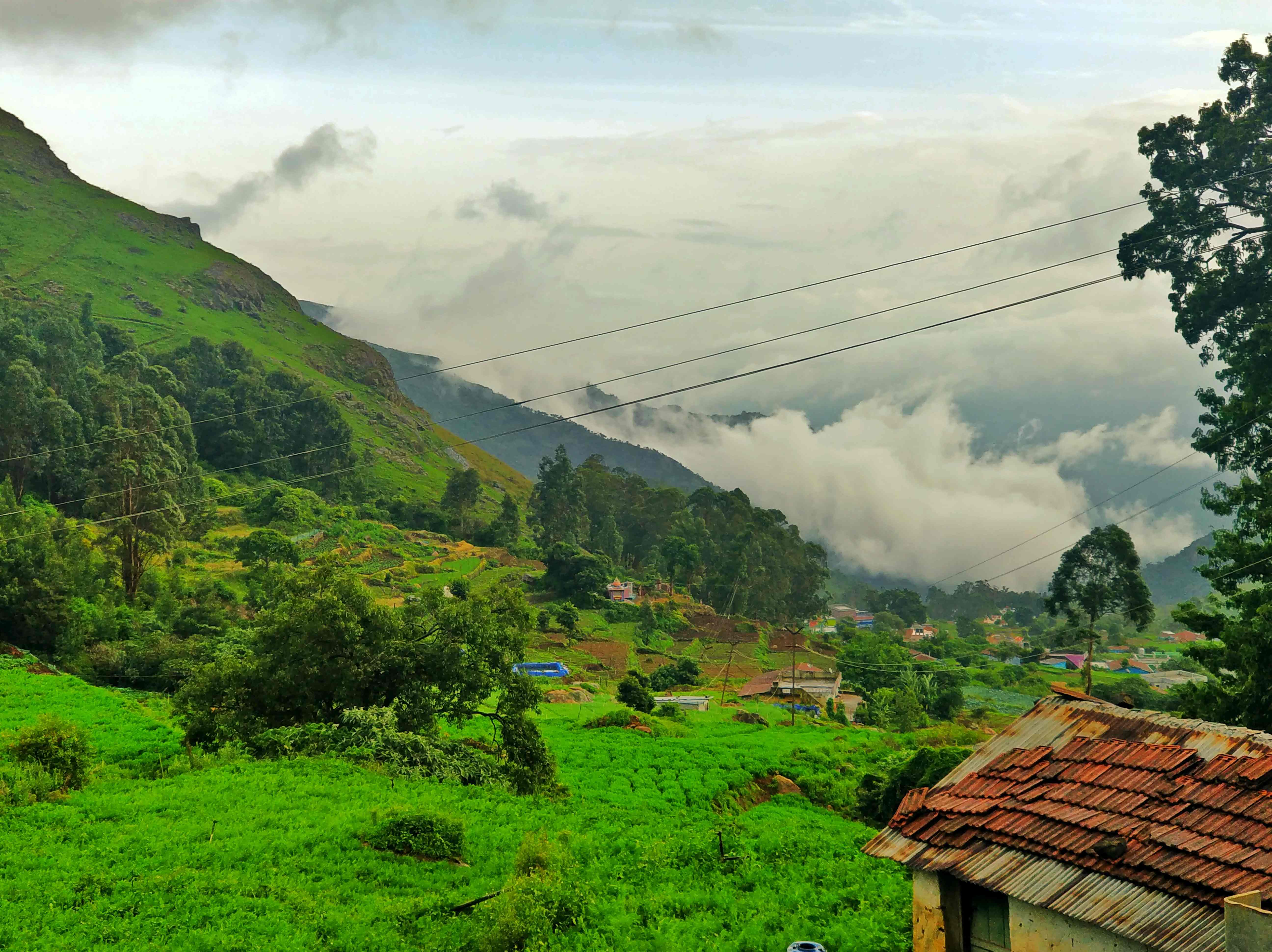 Misty Munnar | 2 Nights/3 Days